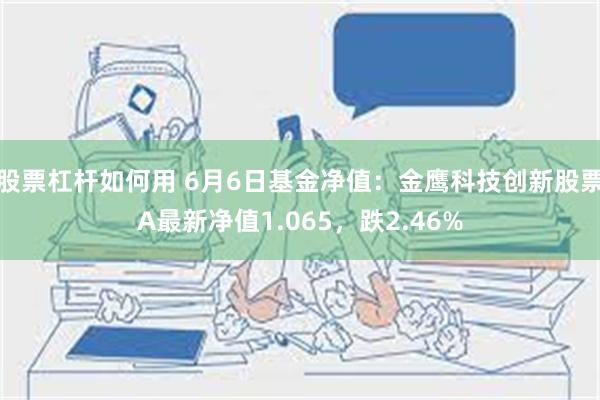 股票杠杆如何用 6月6日基金净值：金鹰科技创新股票A最新净值1.065，跌2.46%