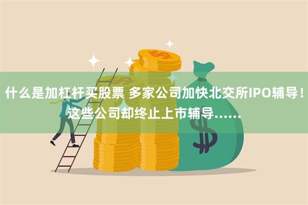 什么是加杠杆买股票 多家公司加快北交所IPO辅导！这些公司却终止上市辅导......