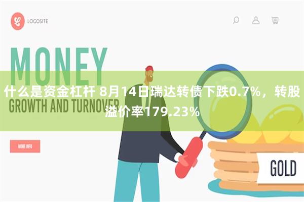 什么是资金杠杆 8月14日瑞达转债下跌0.7%，转股溢价率179.23%