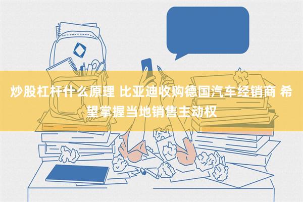 炒股杠杆什么原理 比亚迪收购德国汽车经销商 希望掌握当地销售主动权