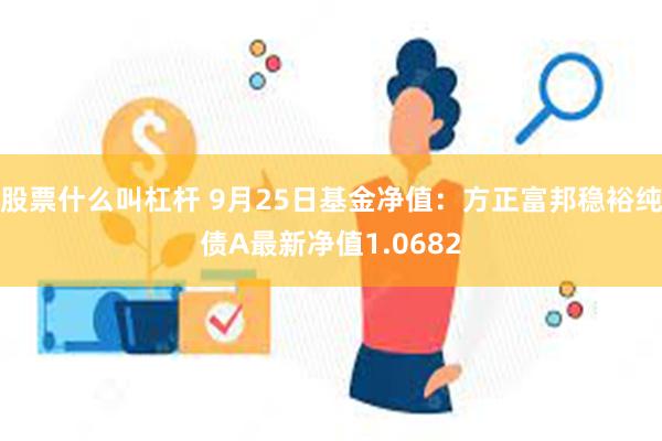 股票什么叫杠杆 9月25日基金净值：方正富邦稳裕纯债A最新净值1.0682