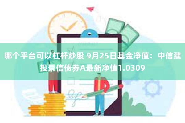 哪个平台可以杠杆炒股 9月25日基金净值：中信建投景信债券A最新净值1.0309