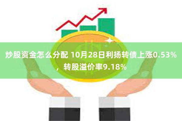 炒股资金怎么分配 10月28日利扬转债上涨0.53%，转股溢价率9.18%