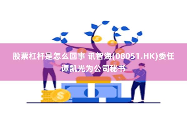 股票杠杆是怎么回事 讯智海(08051.HK)委任谭凯光为公司秘书