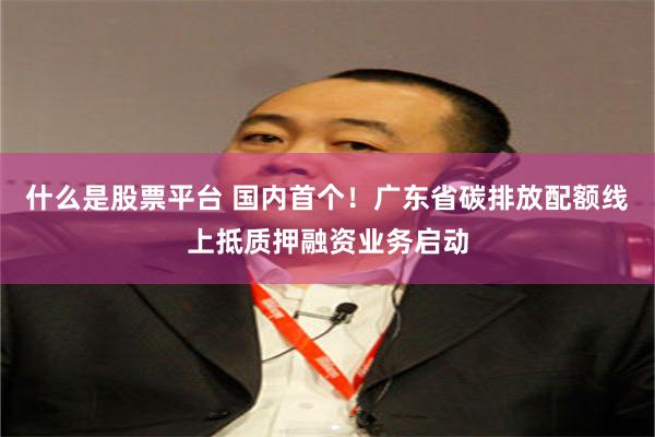 什么是股票平台 国内首个！广东省碳排放配额线上抵质押融资业务启动