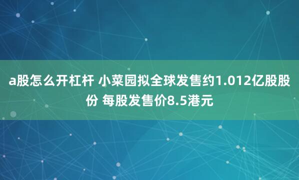 a股怎么开杠杆 小菜园拟全球发售约1.012亿股股份 每股发售价8.5港元