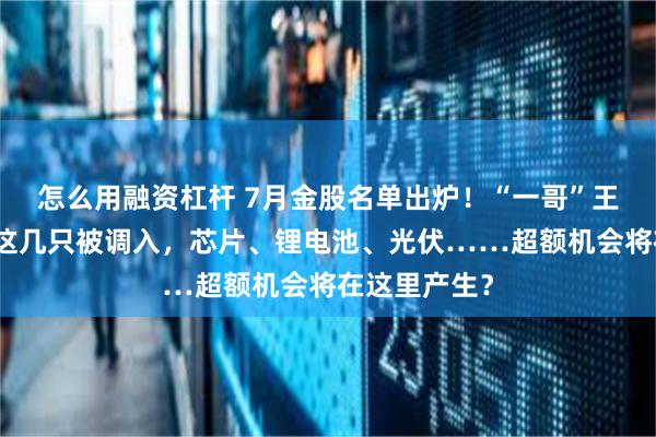 怎么用融资杠杆 7月金股名单出炉！“一哥”王亚伟看上的这几只被调入，芯片、锂电池、光伏……超额机会将在这里产生？