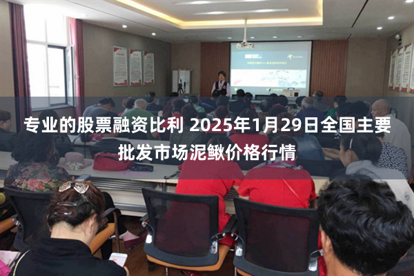 专业的股票融资比利 2025年1月29日全国主要批发市场泥鳅价格行情