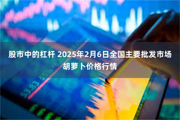 股市中的杠杆 2025年2月6日全国主要批发市场胡萝卜价格行情